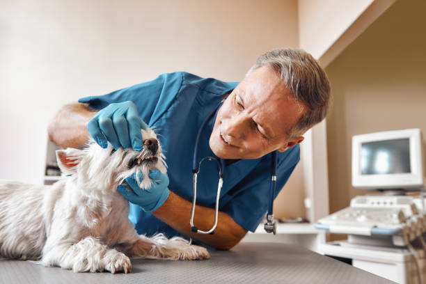 Best Pediatric Emergency Dentist in Purcell, OK